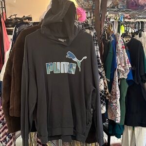 Cotton blend hoodie, PUMA
Essentials Men's Hoodie, Gray 2X